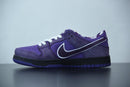Nike SB Dunk Low Concepts Purple Lobster - futurerunners