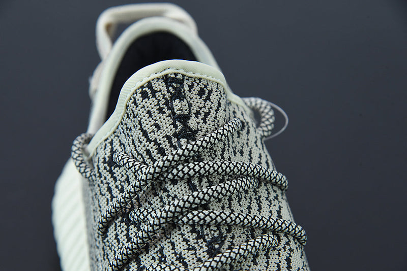 Adidas Yeezy Boost 350 "Turtle Dove"