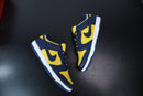 Nike Dunk Low Michigan (2021) - futurerunners