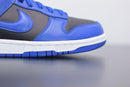 Nike Dunk Low Retro Hyper Cobalt (2021) - futurerunners