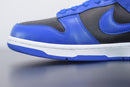 Nike Dunk Low Retro Hyper Cobalt (2021) - futurerunners