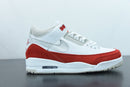 Nike Air Jordan 3 Retro Tinker "Air Max 1"