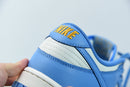 Nike Dunk Low Coast