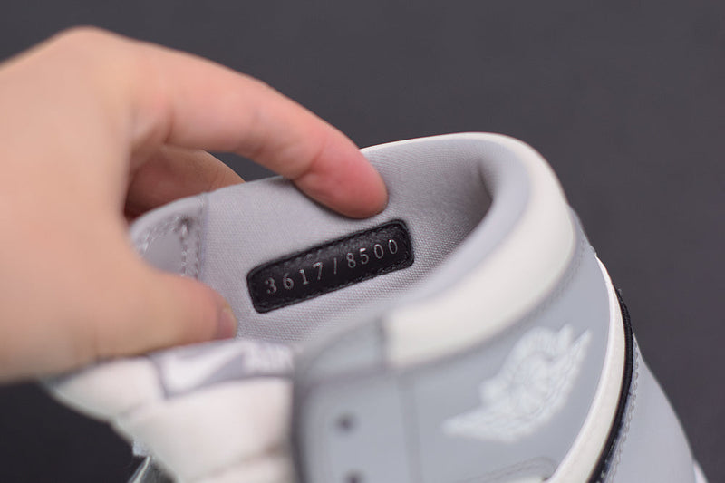 Nike Air Jordan 1 Retro High Dior