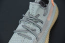 Adidas Yeezy Boost 350 V2 True Form