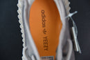 Adidas Yeezy Boost 350 V2 'Mono Light'
