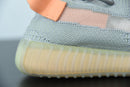 Adidas Yeezy Boost 350 V2 True Form