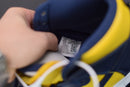 Nike Dunk High "Michigan"