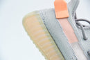 Adidas Yeezy Boost 350 V2 True Form